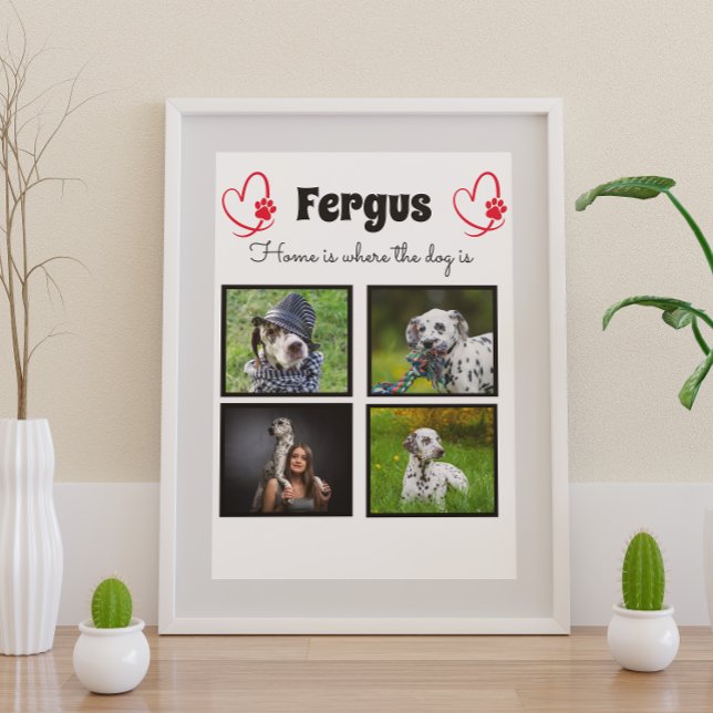 4 fotokollage - anpassat minne för husdjursfamilje poster (Skapare uppladdad)