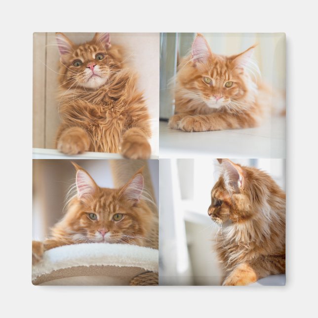 4 Fyra fotokollage-Fullt Magnet (Framsidan)