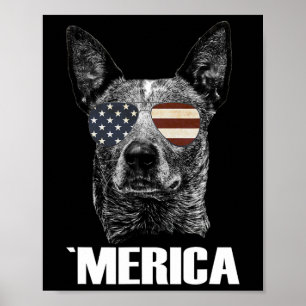 4 juli Blue Heeler Hund Merica Patriotisk Usa Flag Poster
