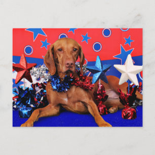 4 juli - Vizsla - Reagan Vykort