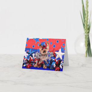 4 juli - Yorkie - Vinnie Kort