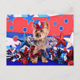 4 juli - Yorkie - Vinnie Vykort