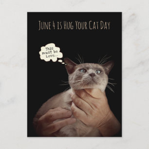 4 juni är Krama din katt-dagen Vykort