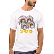 4 kalkoner likställer 300