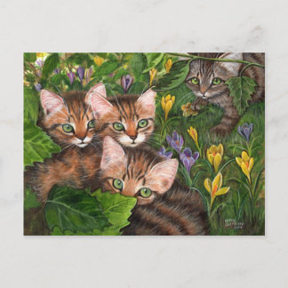 4 Kittens Crocus vykort