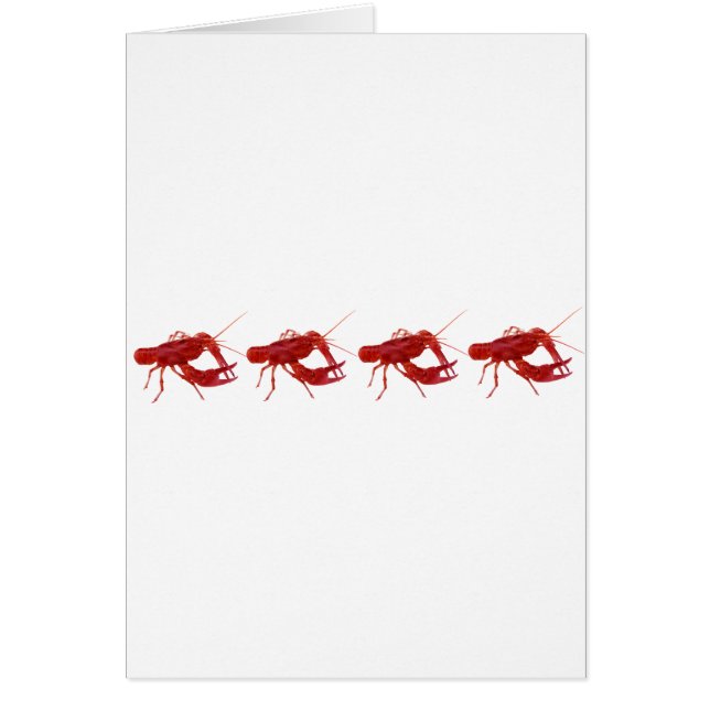 4 lagade mat kräftor hälsningskort (Framsidan)