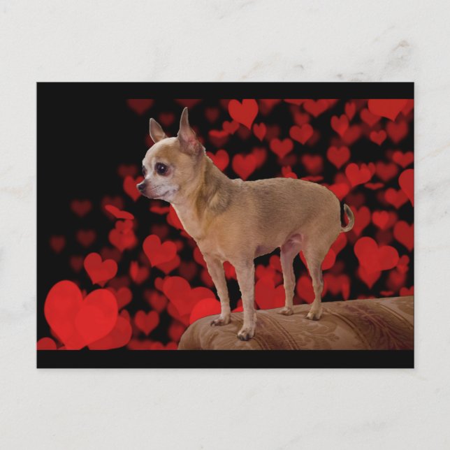 4 lbs Pure Kärlek Vykort (Framsida)