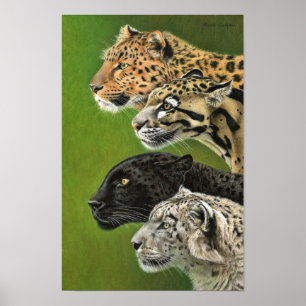 4 Leoparder Poster