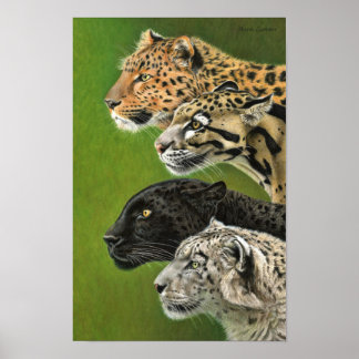 4 Leoparder Poster