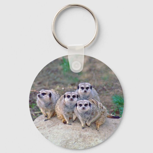 4 Meerkats Peering Keychain Nyckelring (Framsida)