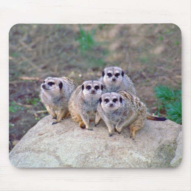 4 Meerkats som plirar Mousepad Musmatta (Framsidan)