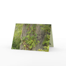 "4 någonsin?" BREAK-UP-hälsningskort