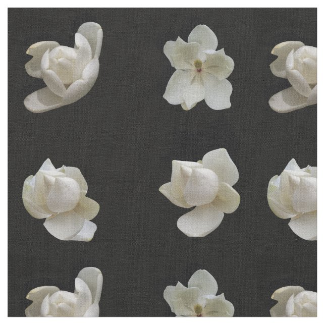 4 olika Magnoliska blommor på svart väv Tyg (Närbild)