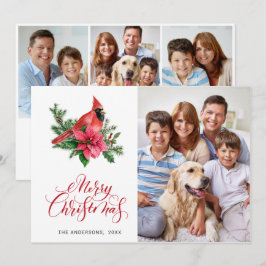 4 PHOTO Poinsettia Red Kardinal jul Hälsning Julkort