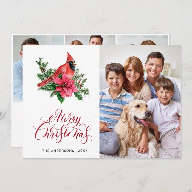 4 PHOTO Poinsettia Red Kardinal jul Hälsning Julkort (Fram/baksida)