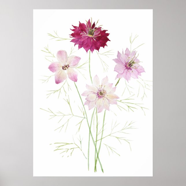4 rosa magenta nigella blomrosblommor poster (Framsidan)