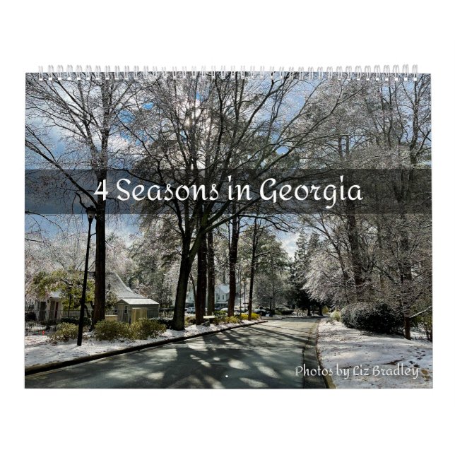 4 Seasons in Georgia Kalender (Omslag)