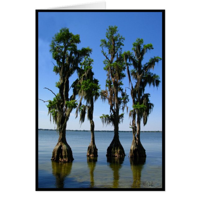 4 träd hälsningskort (Framsidan)