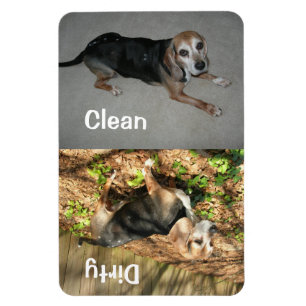 4 tum x 6 tum ren/smutsig beagle-fotodoishwasher-m magnet