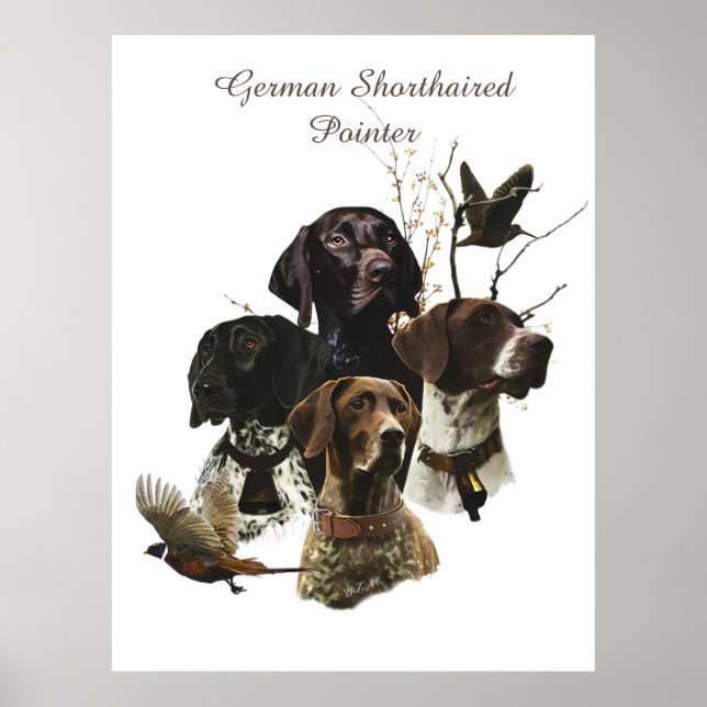 4 Tyska kortstolpe Färg Poster (Framsidan)