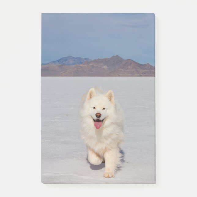 4"x6"-anteckningar efter det att de har skickats - post-it block (Framsida)