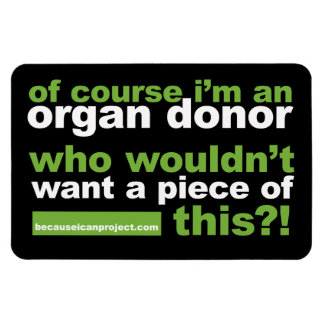 4 x 6 magnet - för kylen eller bilen!