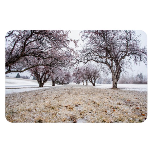 4 x 6-plattmagnet magnet (Horisontell)