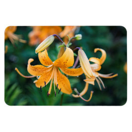 4 x 6-plattmagnet magnet