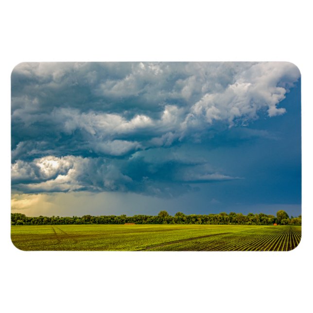 4 x 6-plattmagnet magnet (Horisontell)