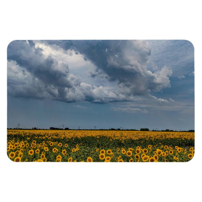 4 x 6-plattmagnet magnet (Horisontell)