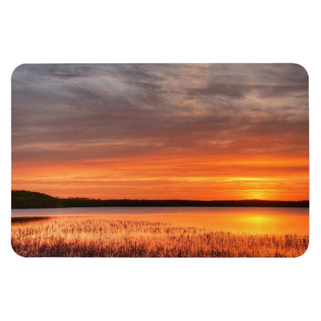 4 x 6-plattmagnet magnet (Horisontell)