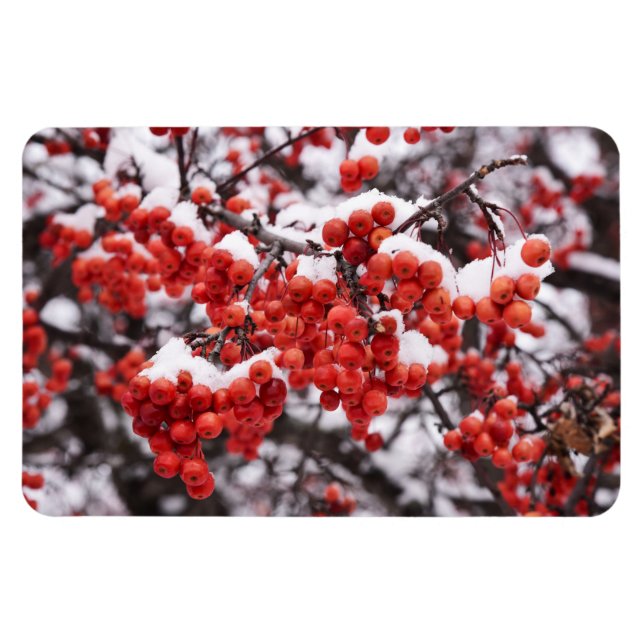 4 x 6-plattmagnet magnet (Horisontell)