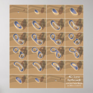 4D Torus fly genom kor-sektionen Poster
