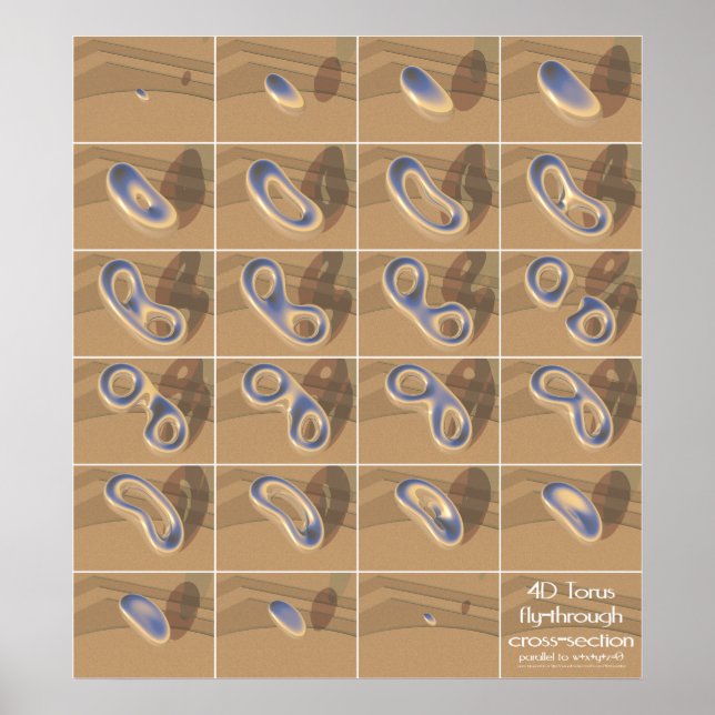 4D Torus fly genom kor-sektionen Poster (Framsidan)