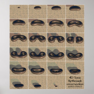 4D Torus fly genom kor-sektionen Poster