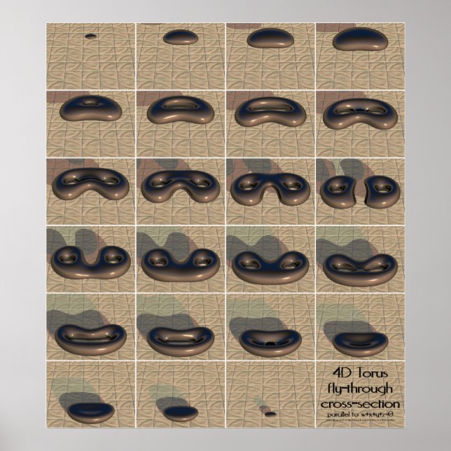 4D Torus fly genom kor-sektionen Poster (Framsidan)