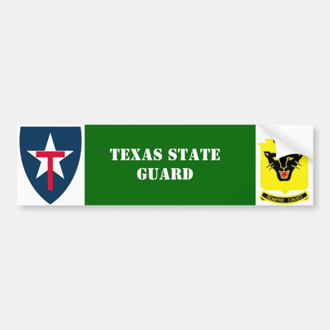 4th Reg. Texas för statlig vakt Bildekal (Framsidan)
