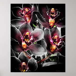 4x5 Ratio Black Orchid Print Img5459 Poster