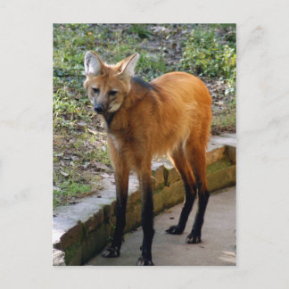 4x6-vykortsmall vykort