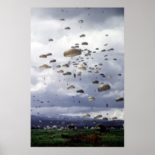 501. Para infanteri Poster