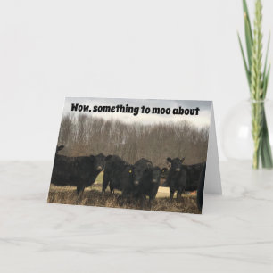 **50:e* BIRTHDAY ÄR NÅGOT SOM KRÄVS AV "MOO ABOUT" Kort