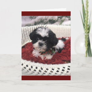 "50:e BIRTHDAY" HUMOR FRÅN CUTEST PUPPY NÅGONSIN Kort