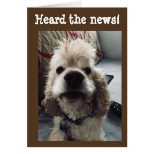 **50:e BIRTHDAY** HUMOR FRÅN VALP Hälsningskort