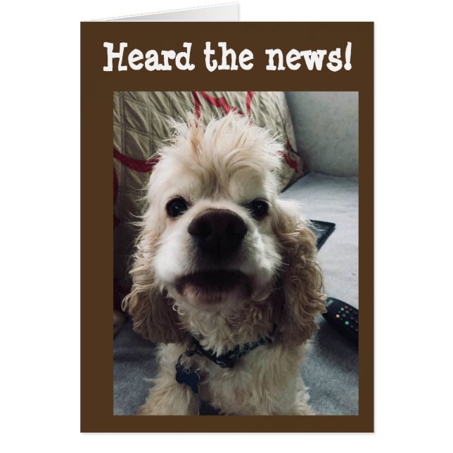 **50:e BIRTHDAY** HUMOR FRÅN VALP Hälsningskort (Framsidan)