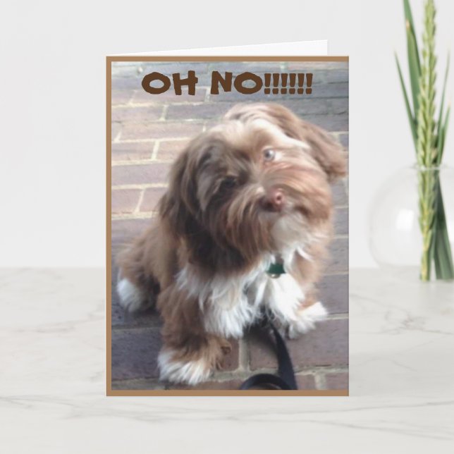**50:e BIRTHDAY** OH NO SAYS PUPPY Kort (Framsida)