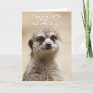 50:e födelsedagen Meerkat-hälsningskort i lycklig Kort