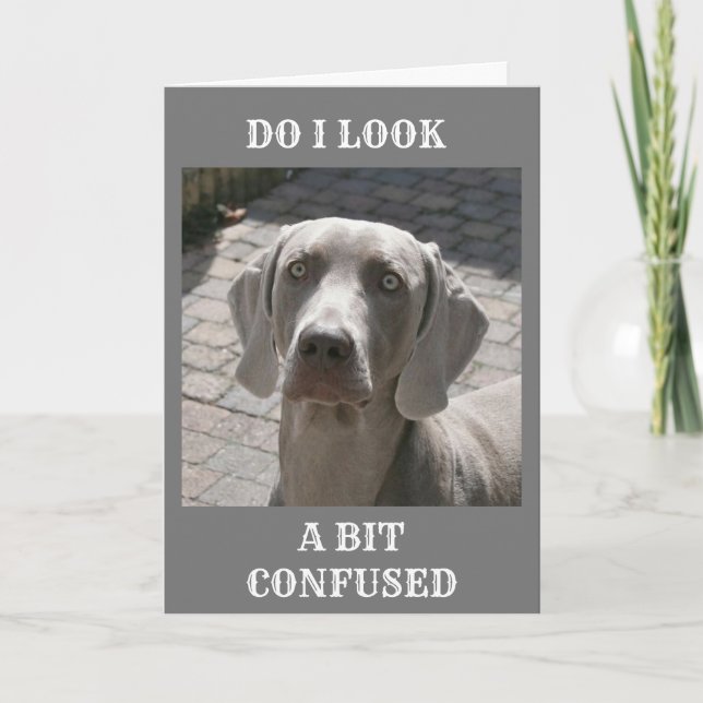 "50" HUR KAN DET SÄGAS WEIMARANER-KORT KORT (Framsida)