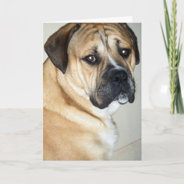 50 MEN FORTFARANDE DEN ÖVERSTA HUND KORT (Framsida)