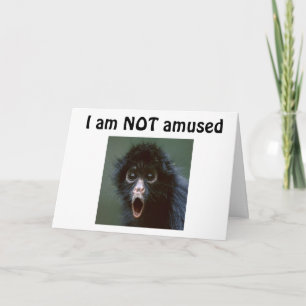 **50?** SER DU INTE EN DAG ÖVER 49?? FÖDELSEDAG KORT