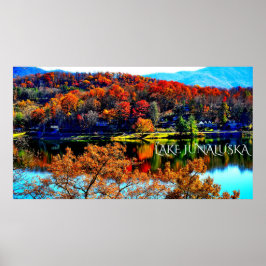 50 X 27 SJÖ JUNALUSKA PREMIUM CANVAS GLANSIG POSTE POSTER